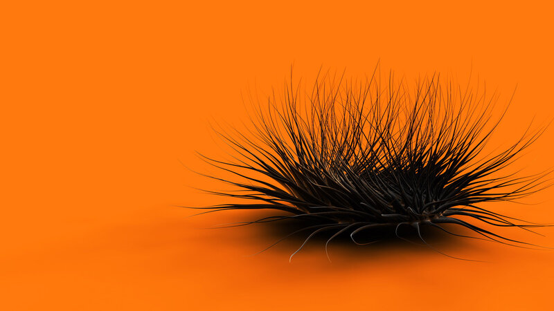 Black Spiky Object — Orange, Minimalist, 3d Render