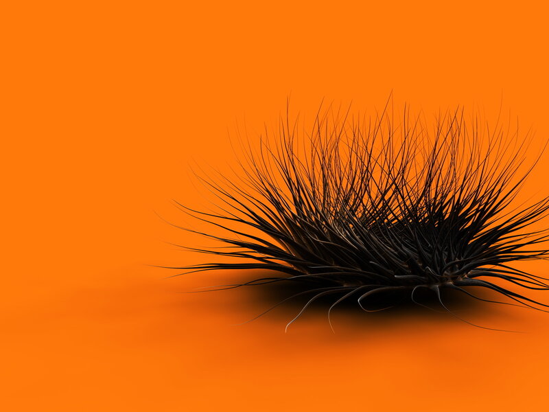 Black Spiky Object — Orange