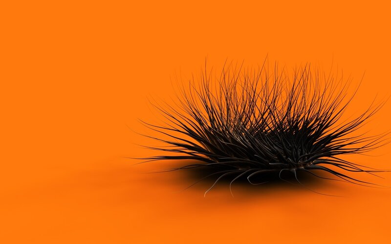 Black Spiky Object