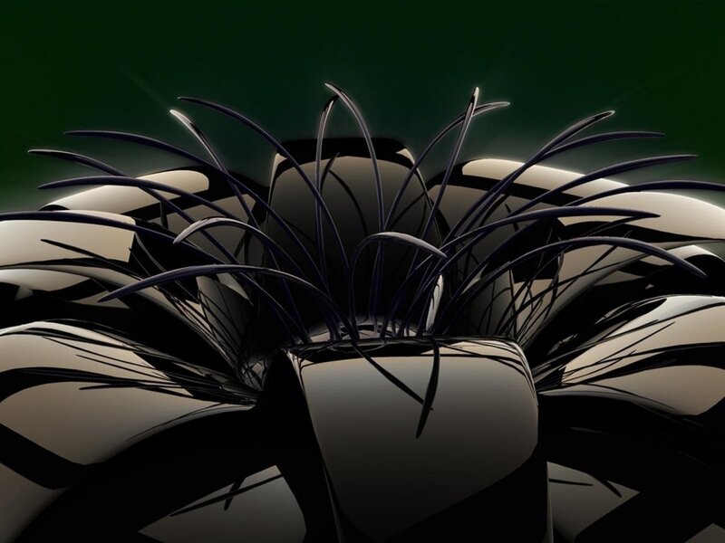 Black Spiky Plant — Dramatic