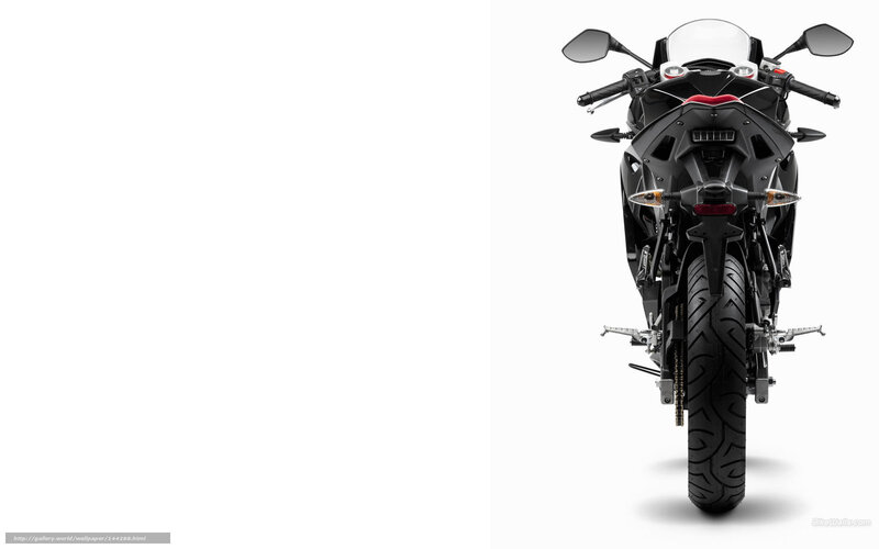 Black Sport Motorcycle — Neutral, Photograph, Rear View
