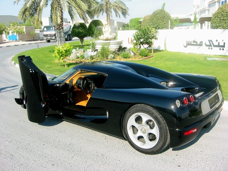 Black Sports Car — Calm, Afternoon, Photograph, Palm Tree