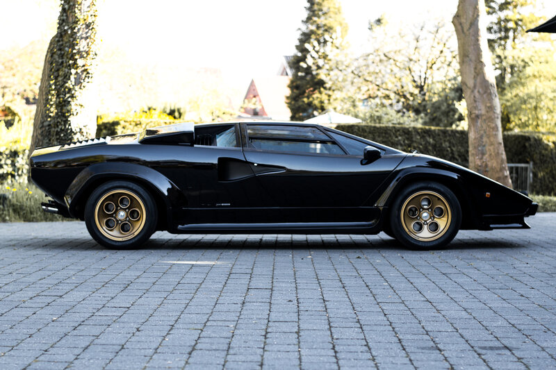 Black Sports Car — Calm, Afternoon, Photograph, Trees, Hedge