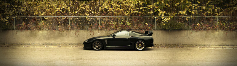 Black Sports Car — Calm, Autumn, Photograph, Fence