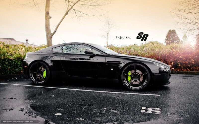 Black Sports Car — Calm, Autumn, Photograph, Tree