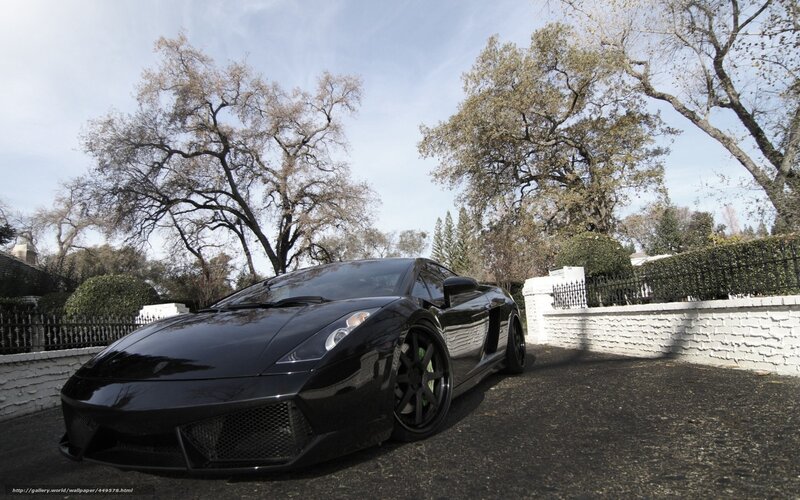 Black Sports Car — Calm, Autumn, Photograph, Trees
