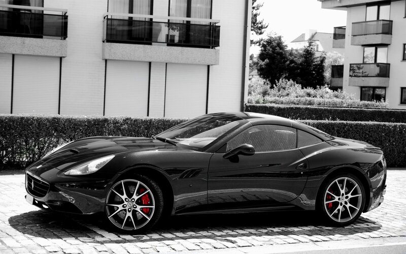 Black Sports Car — Calm, Photograph, Building, Hedge