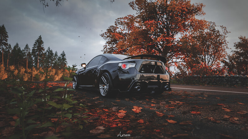 Black Sports Car — Dramatic, Autumn, Photograph, Fallen Leaves