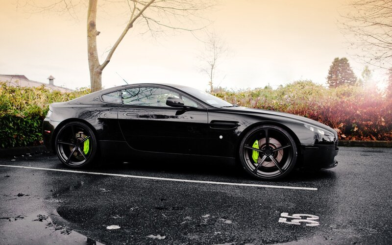 Black Sports Car — Dramatic, Autumn, Photograph, Tree
