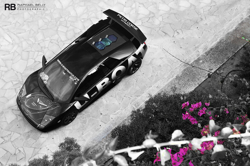 Black Sports Car — Dramatic, Photograph, Flowers