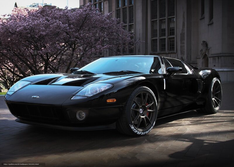 Black Sports Car — Dramatic, Spring, Photograph, Cherry Blossom Tree