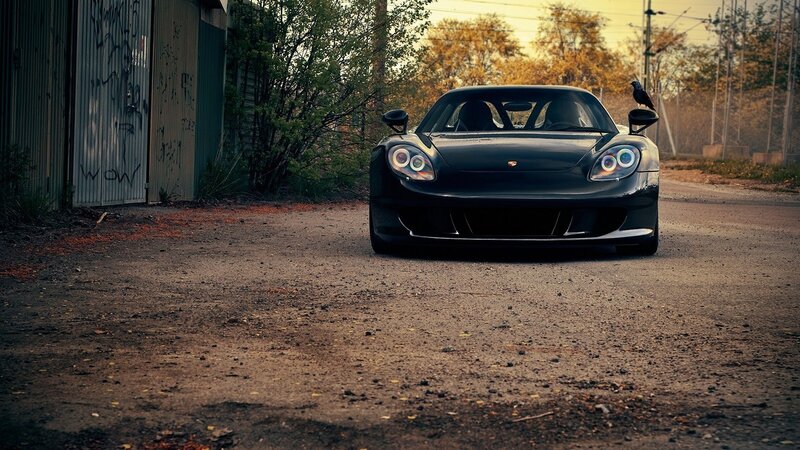 Black Sports Car — Dramatic, Sunset, Photograph, Bird