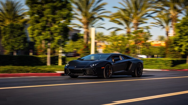 Black Sports Car — Dynamic, Afternoon, Photograph, Palm Trees