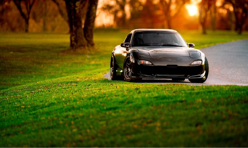 Black Sports Car — Green, Serene, Sunset, Photograph
