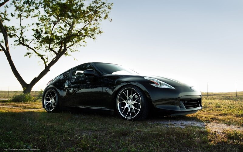 Black sports car in field
