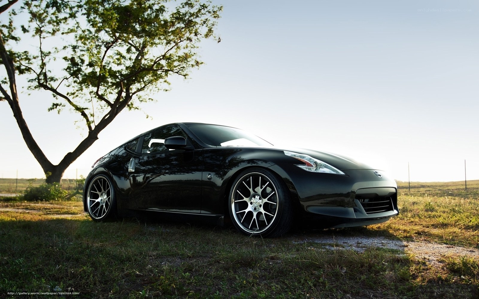 Black sports car in field