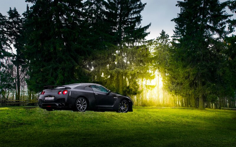 Black Sports Car in Forest — Green, Dramatic