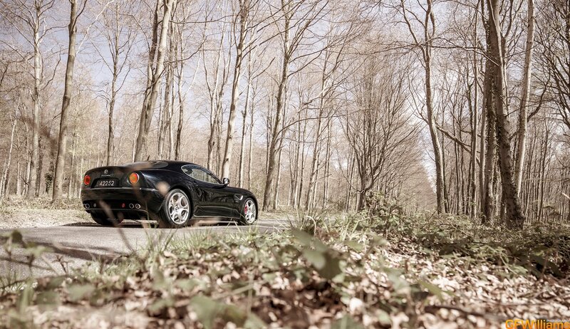 Black sports car in forest