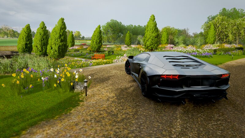 Black Sports Car in Garden