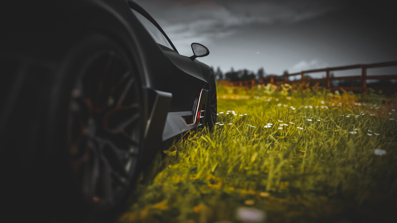 Black Sports Car in Grass