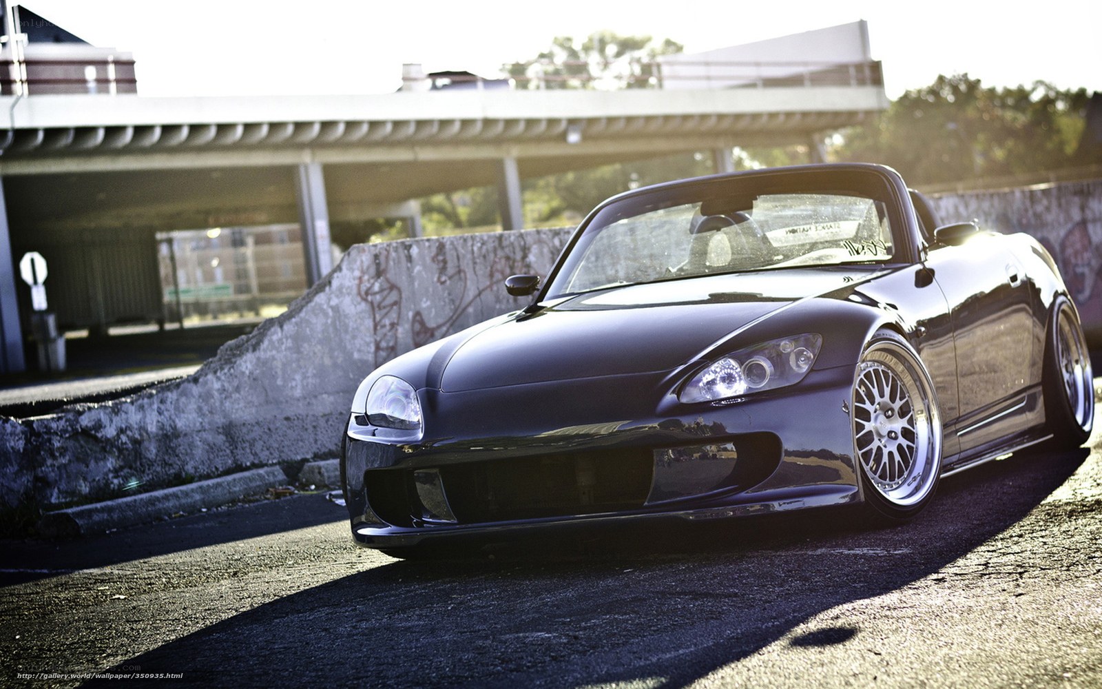 Black sports car on asphalt