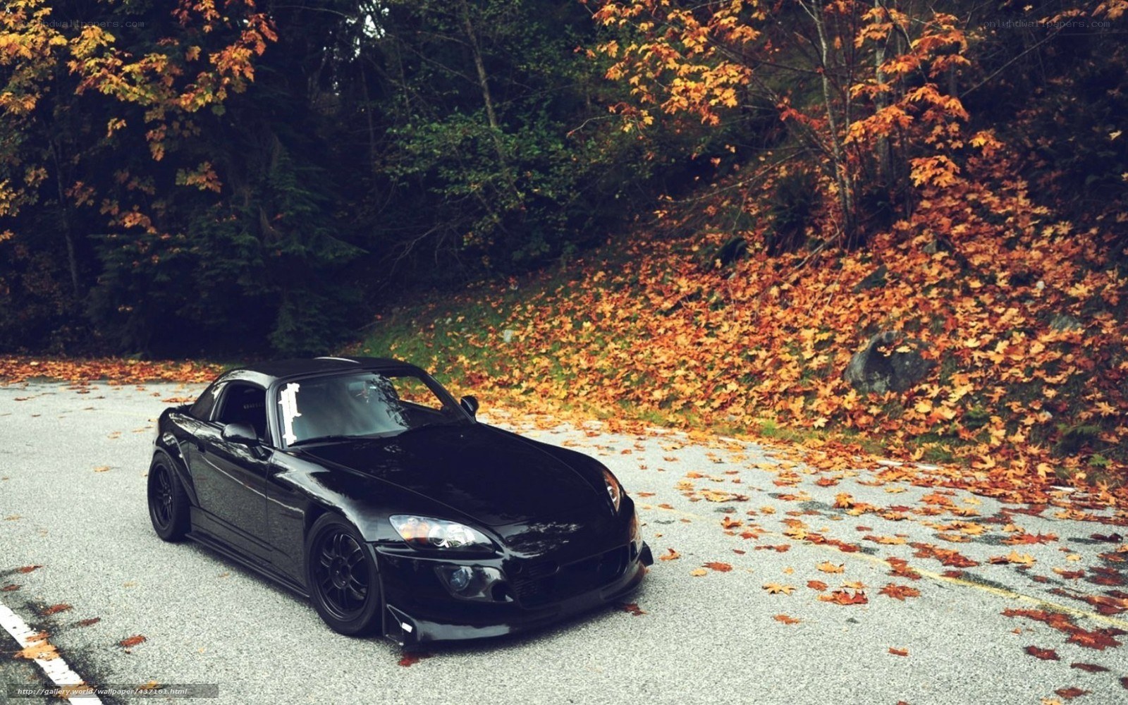 Black sports car on autumn road