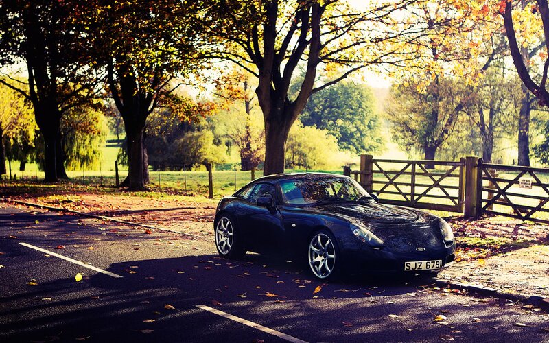 Black sports car on autumn road