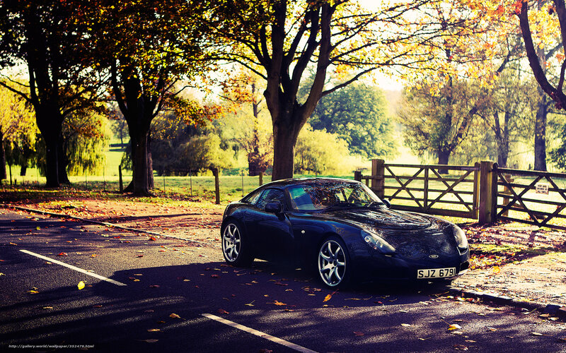 Black sports car on autumn road