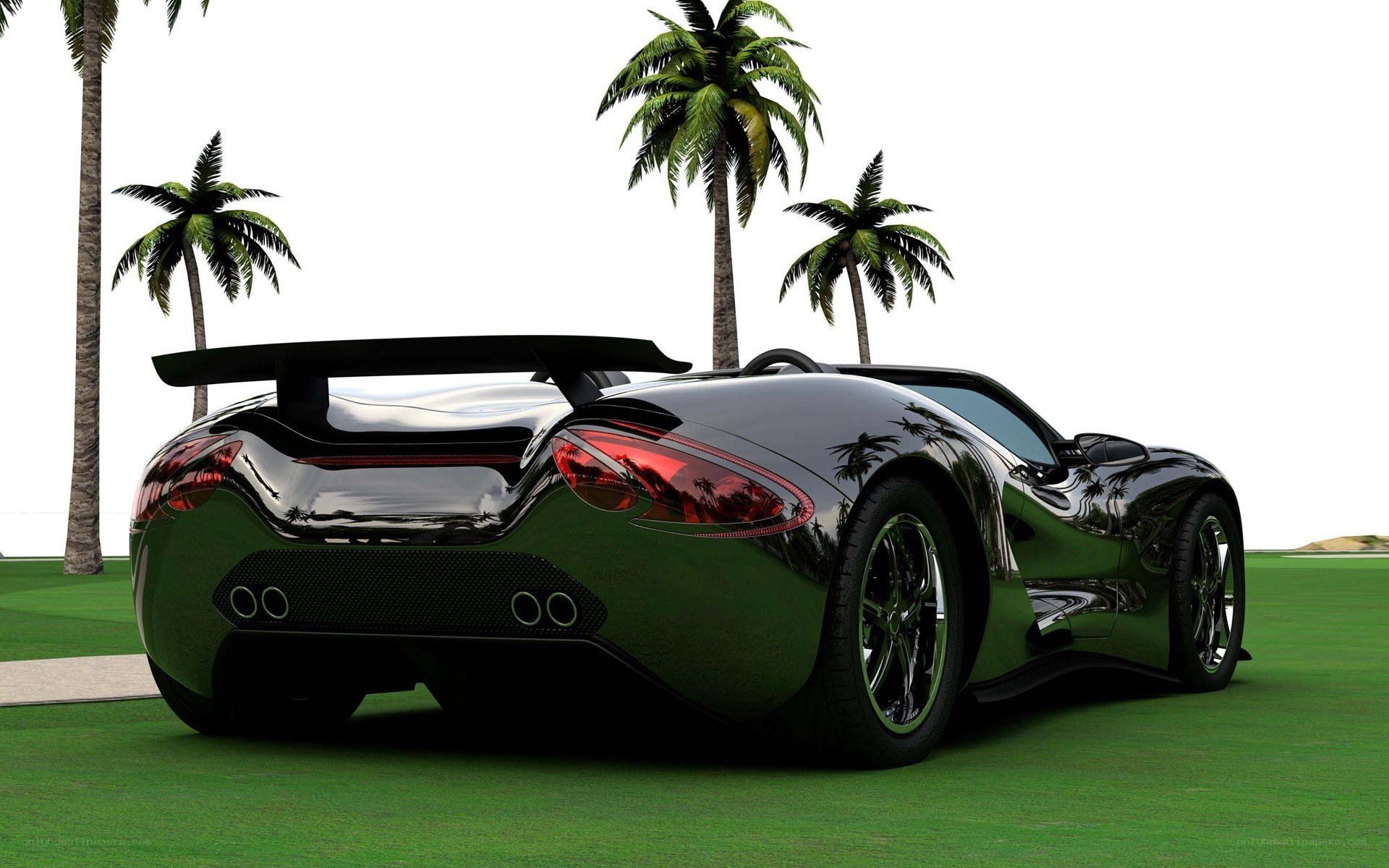 Black sports car on grass