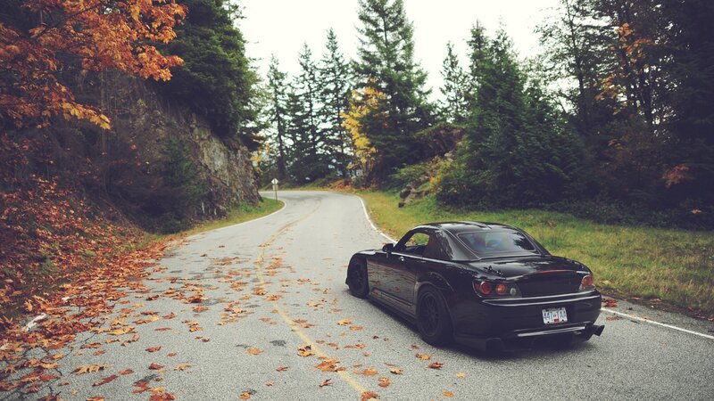 Black Sports Car on Road — Serene, Autumn, Photograph, Fallen Leaves