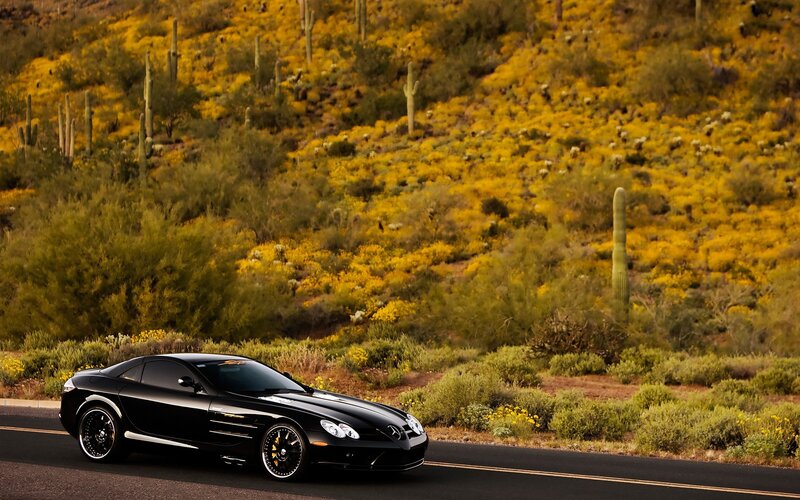 Black Sports Car on Road — Serene, Sunset, Photograph