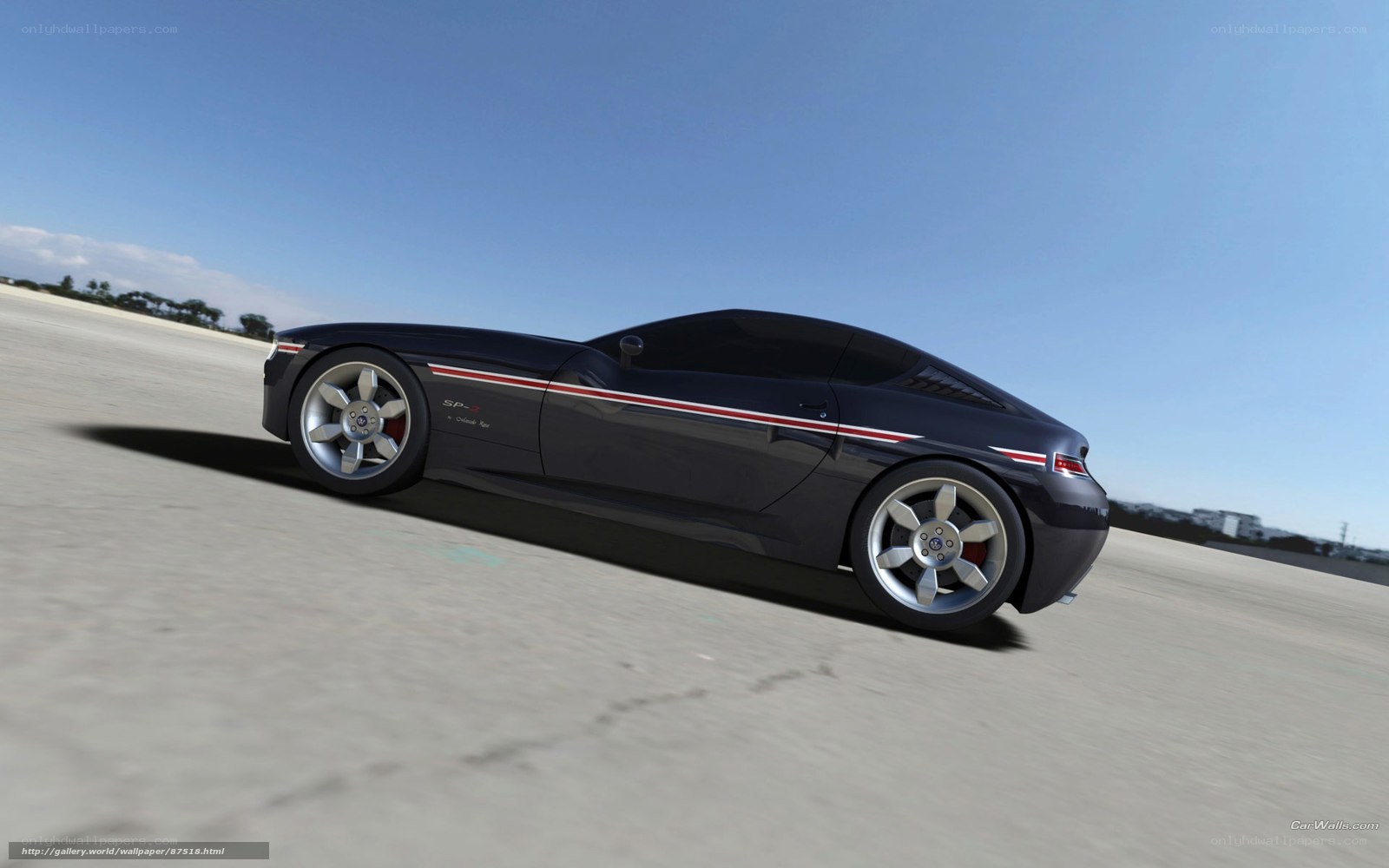black sports car on track