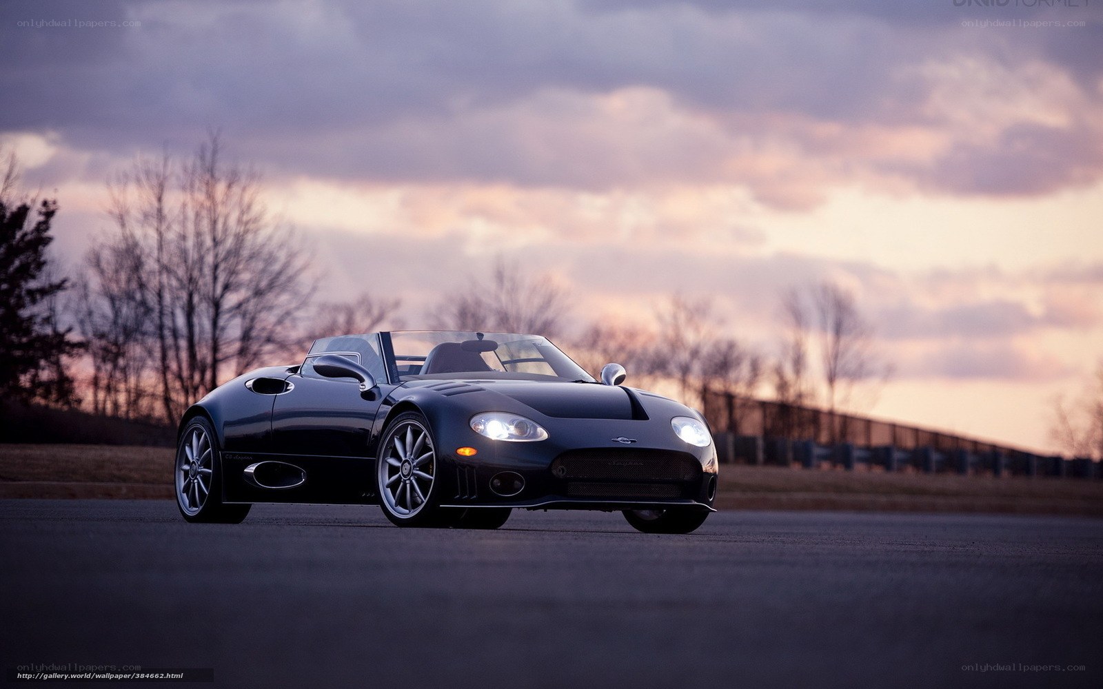 Black sports car on track