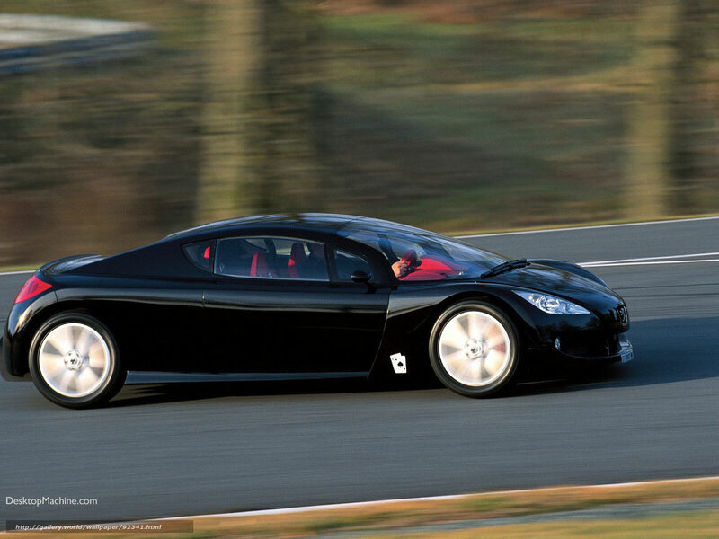 Black Sports Car on Track — Dynamic, Afternoon, Photograph