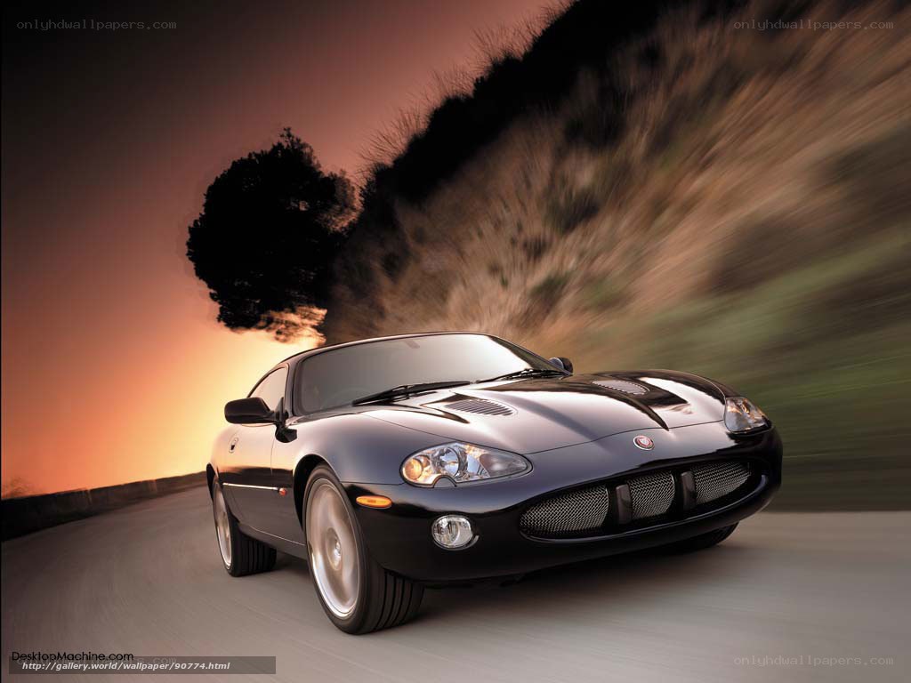 Black sports car on winding road