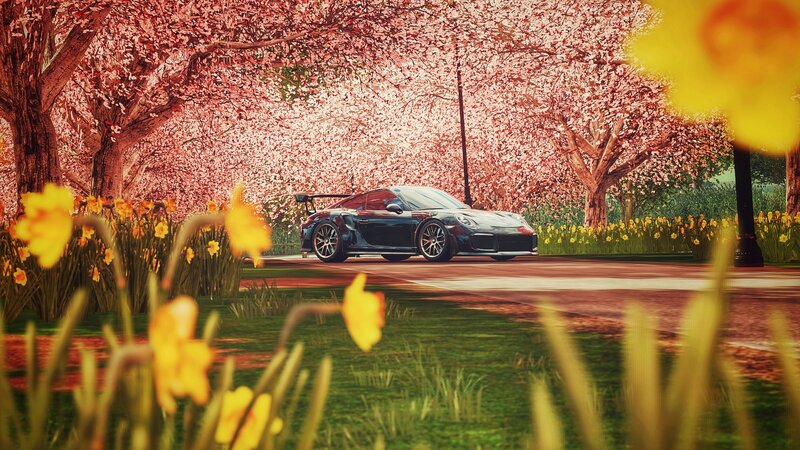 Black Sports Car — Pink, Serene
