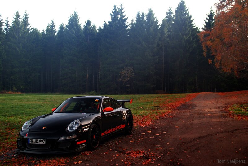 Black Sports Car — Serene, Autumn, Photograph, Forest