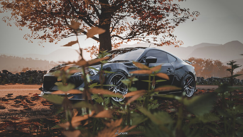 Black Sports Car — Serene, Autumn, Photograph, Tree