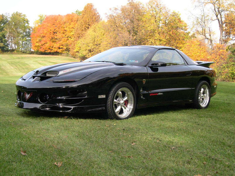 Black Sports Car — Serene, Autumn