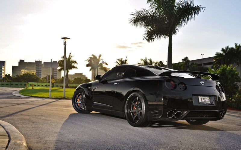 Black Sports Car — Serene, Sunset, Photograph, Palm Tree