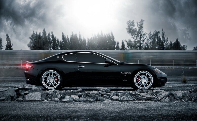 Black Sports Car — Trees, Road