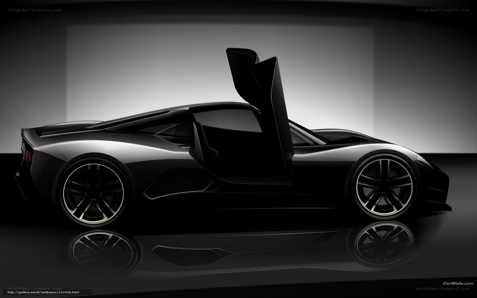Black sports car with open door