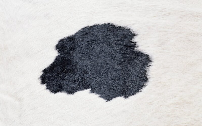black spot on white fur
