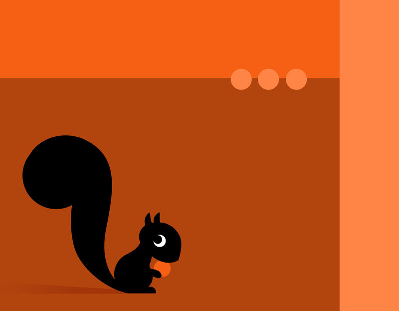 black squirrel holding nut