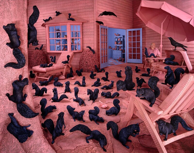 Black Squirrels in Room
