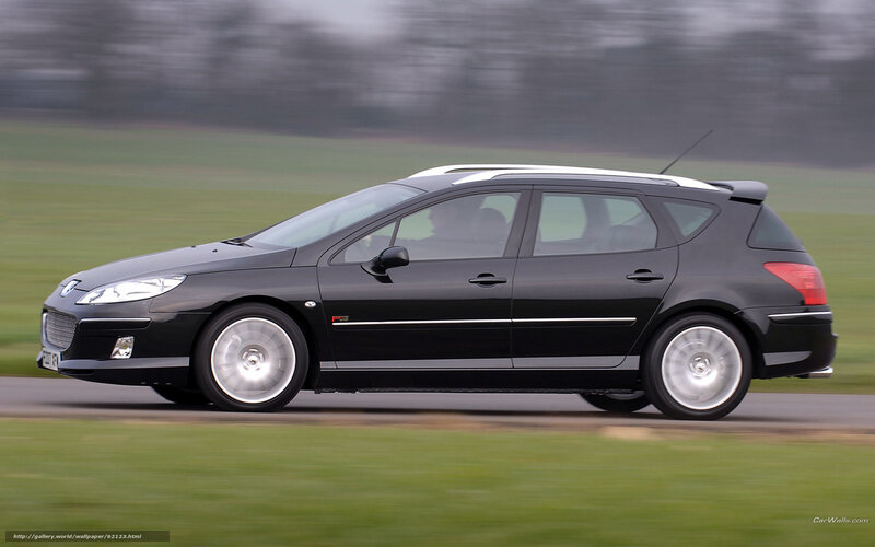Black Station Wagon — Dynamic