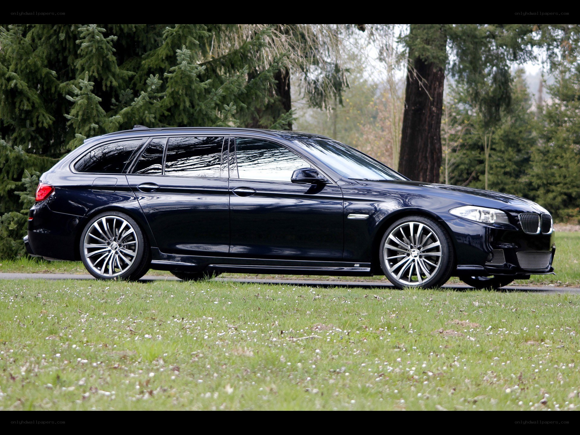 black station wagon in forest