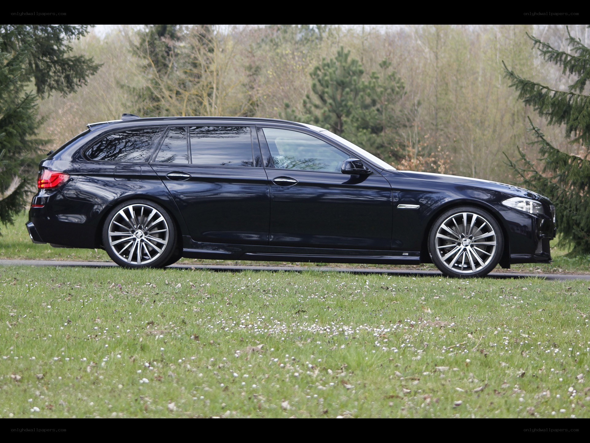 black station wagon on grass