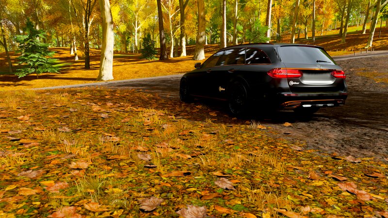 Black Station Wagon — Serene, Autumn, 3d Render