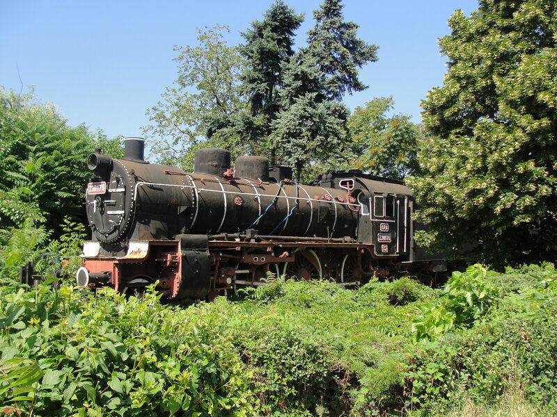 Black Steam Locomotive — Green
